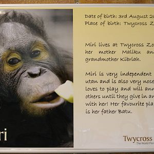 New orang info boards 24 August 2010