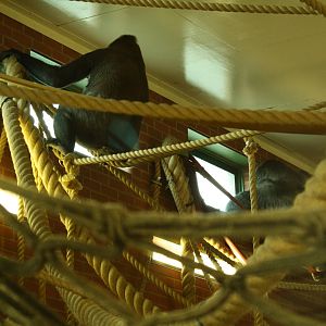 Oumbi and Ozala 24 August 2010