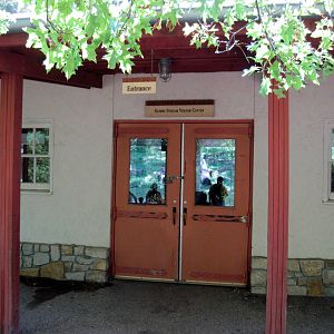 Africa-Chimpanzee Building