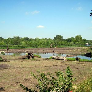 Africa-Black Rhinoceros Exhibit and Plains