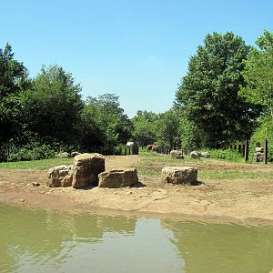 Africa-African Elephant Exhibit