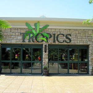 Tropics Building