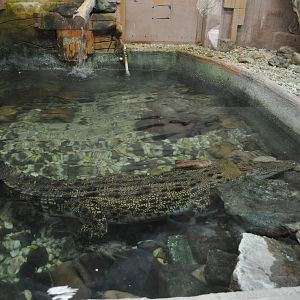 Kyabram Fauna Park 22/8/10