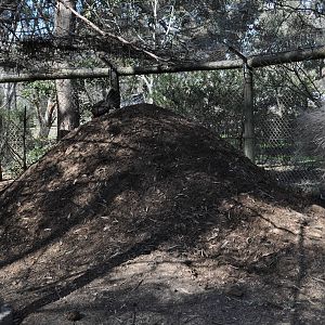 Kyabram Fauna Park 22/8/10