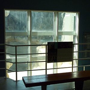 North American Living Museum -Empty Polar Bear Exhibit Viewing Window