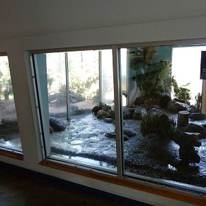 North American Living Museum -Arctic Fox Exhibit