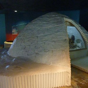 North American Living Museum -Igloo
