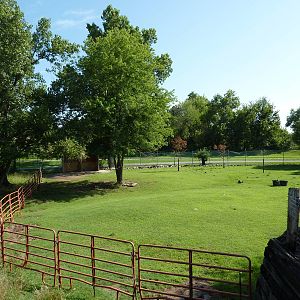 North American Living Museum - Arctic/Tundra - Empty Paddock