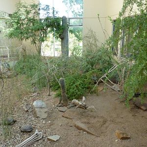 North American Living Museum - Southwest Desert