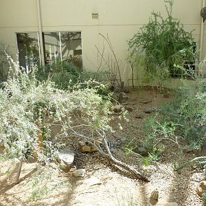North American Living Museum - Southwest Desert