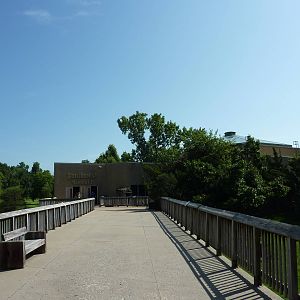 North American Living Museum - Southwest Desert - Boardwalk