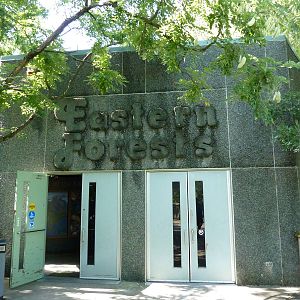 North American Living Museum - Eastern Forests Building