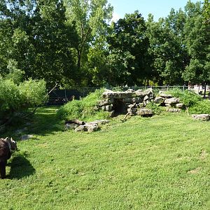 North American Living Museum - Eastern Forests - Black Bear Exhibit