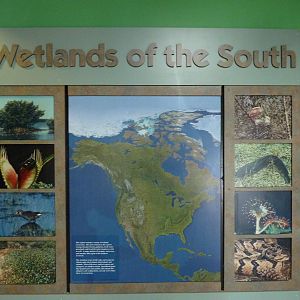 North American Living Museum - Southern Lowlands - Signage
