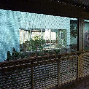 North American Living Museum - Southern Lowlands - Cypress Swamp