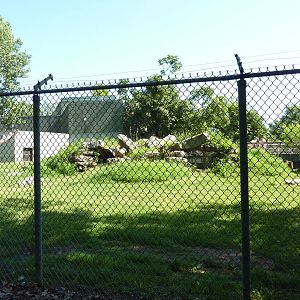 North American Living Museum - Eastern Forests - Black Bear Exhibit