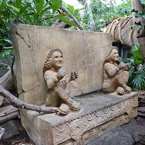 Tropical American Rain Forest