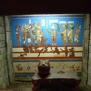 Tropical American Rain Forest