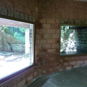 Tropical American Rain Forest - Jaguar Exhibit
