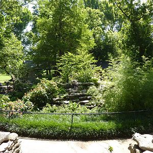 Garden Fountain Area