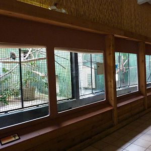 Conservation Centre - Primates, Birds, Reptiles, Amphibians + Fish