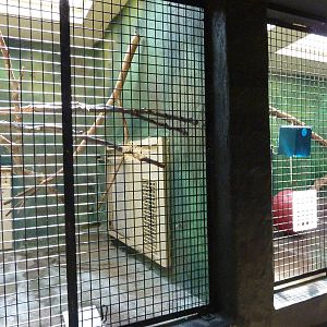 Conservation Centre - Primates, Birds, Reptiles, Amphibians + Fish