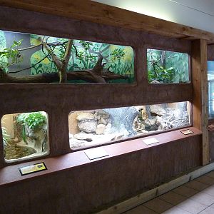 Conservation Centre - Primates, Birds, Reptiles, Amphibians + Fish