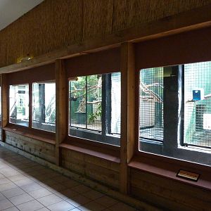 Conservation Centre - Primates, Birds, Reptiles, Amphibians + Fish