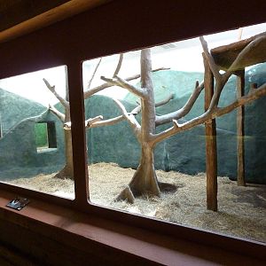 Conservation Centre - Primates, Birds, Reptiles, Amphibians + Fish