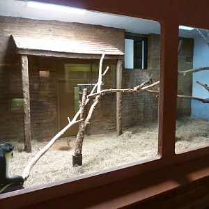 Conservation Centre - Primates, Birds, Reptiles, Amphibians + Fish