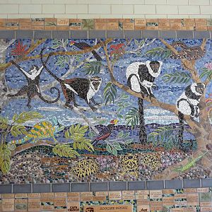 Conservation Centre - Primates, Birds, Reptiles, Amphibians + Fish