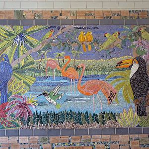 Conservation Centre - Primates, Birds, Reptiles, Amphibians + Fish