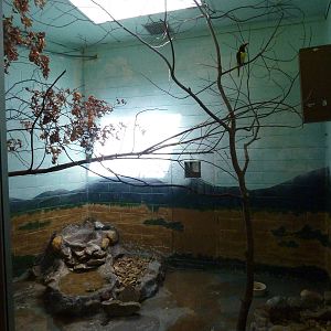 Conservation Centre - Primates, Birds, Reptiles, Amphibians + Fish