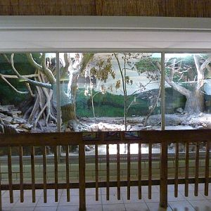 Conservation Centre - Primates, Birds, Reptiles, Amphibians + Fish