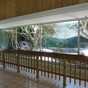 Conservation Centre - Primates, Birds, Reptiles, Amphibians + Fish