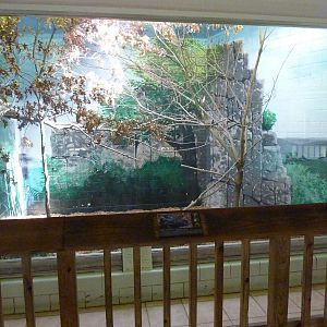 Conservation Centre - Primates, Birds, Reptiles, Amphibians + Fish