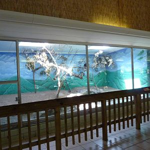 Conservation Centre - Primates, Birds, Reptiles, Amphibians + Fish