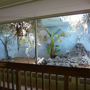Conservation Centre - Primates, Birds, Reptiles, Amphibians + Fish