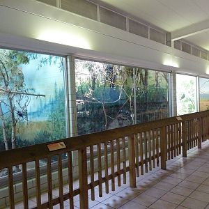 Conservation Centre - Primates, Birds, Reptiles, Amphibians + Fish