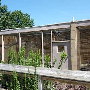 Conservation Centre - Primates, Birds, Reptiles, Amphibians + Fish