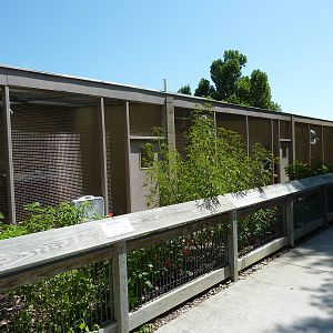 Conservation Centre - Primates, Birds, Reptiles, Amphibians + Fish