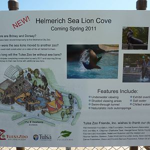 Future Exhibit - Sea Lion Cove