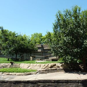Black-and-White Ruffed Lemur Grotto