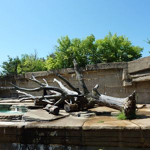 Spectacled Bear Grotto