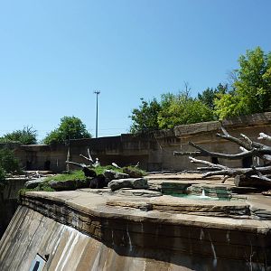 Spectacled Bear Grotto