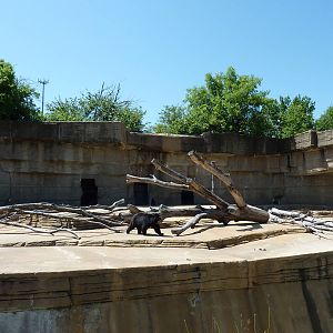 Spectacled Bear Grotto