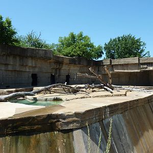 Spectacled Bear Grotto