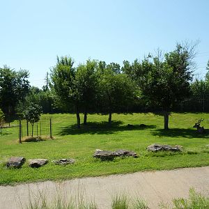 Greater Kudu Paddock