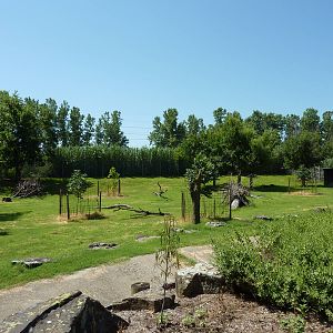 Greater Kudu Paddock