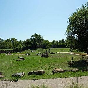 East African Savanna - Zebras, Marabou Storks, African Crowned Cranes, Ostr